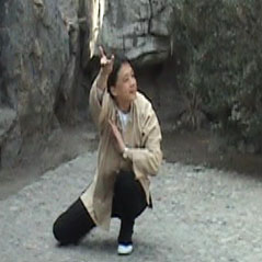 ��������������Ƶ������